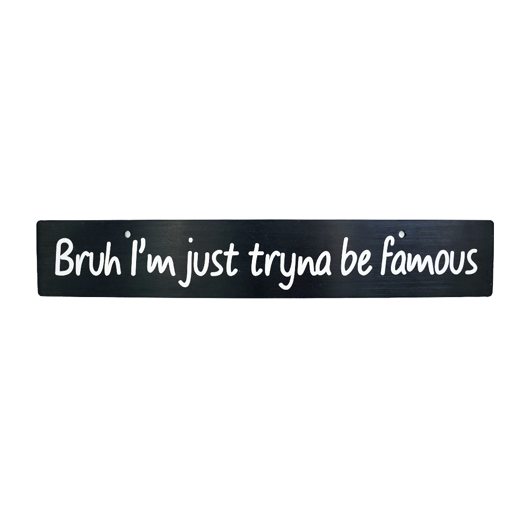 A black anodized aluminum license plate delete with white text that reads 'Bruh I'm just tryna be famous'.