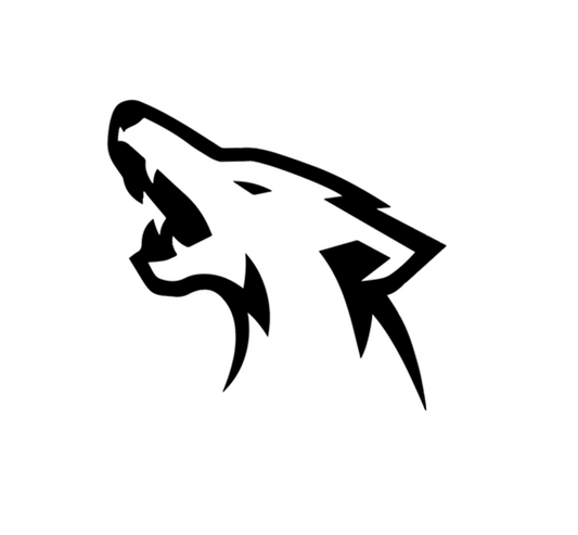 Add Coyote logos on sides?